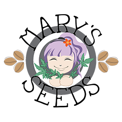 marysseeds marysseeds