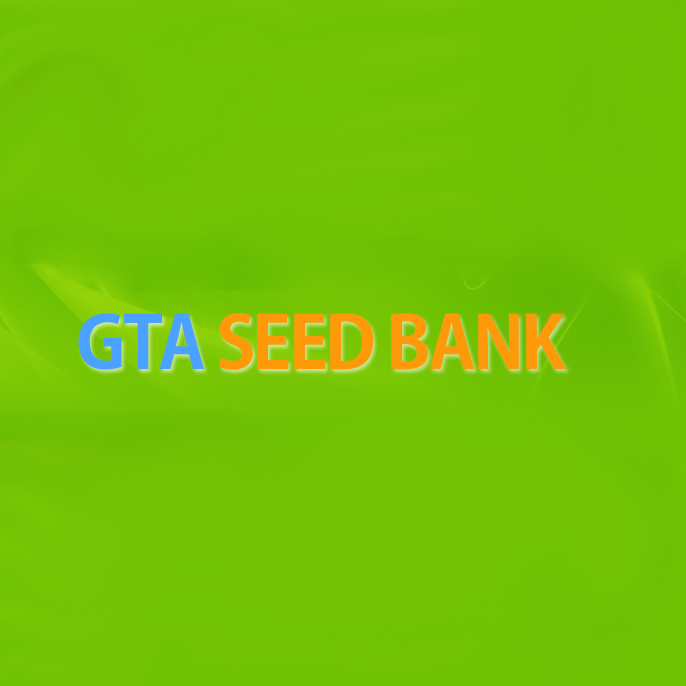 gta seed bank