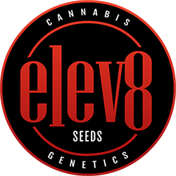 elev8 email logo
