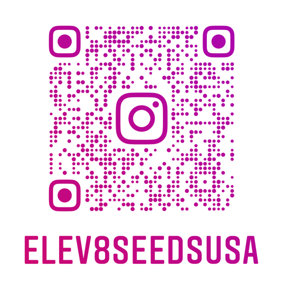 elev8 new instagram