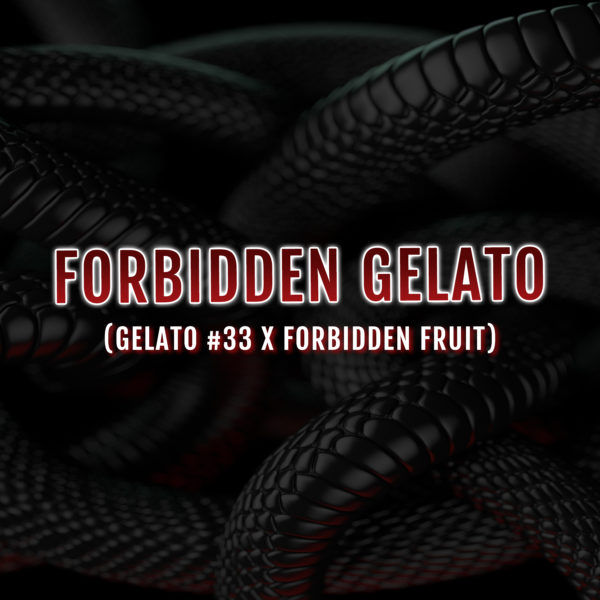 Forbidden Gelato Square 1