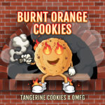 Burnt Orange Cookies <br> (Tangerine Cookies x OMFG)