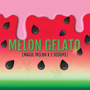 Melon Gelato <br> (Magic Melon x 2 Scoops)