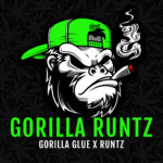 Gorilla Runtz <br> (Gorilla Glue #4 x Runtz)